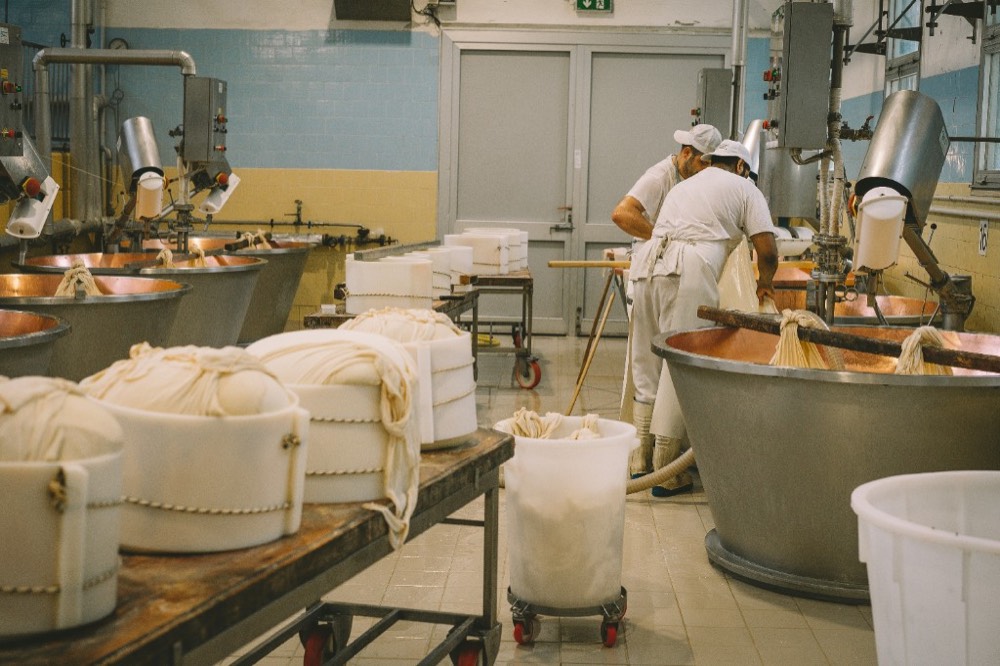 Industrie alimentaire – production et transformation